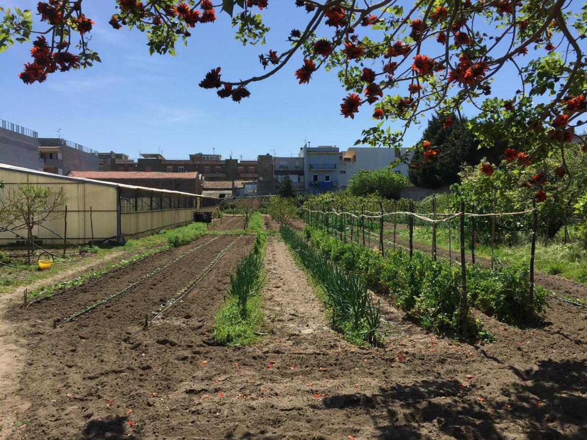 Ortosalato Agricamping Torregrotta Buitenkant foto